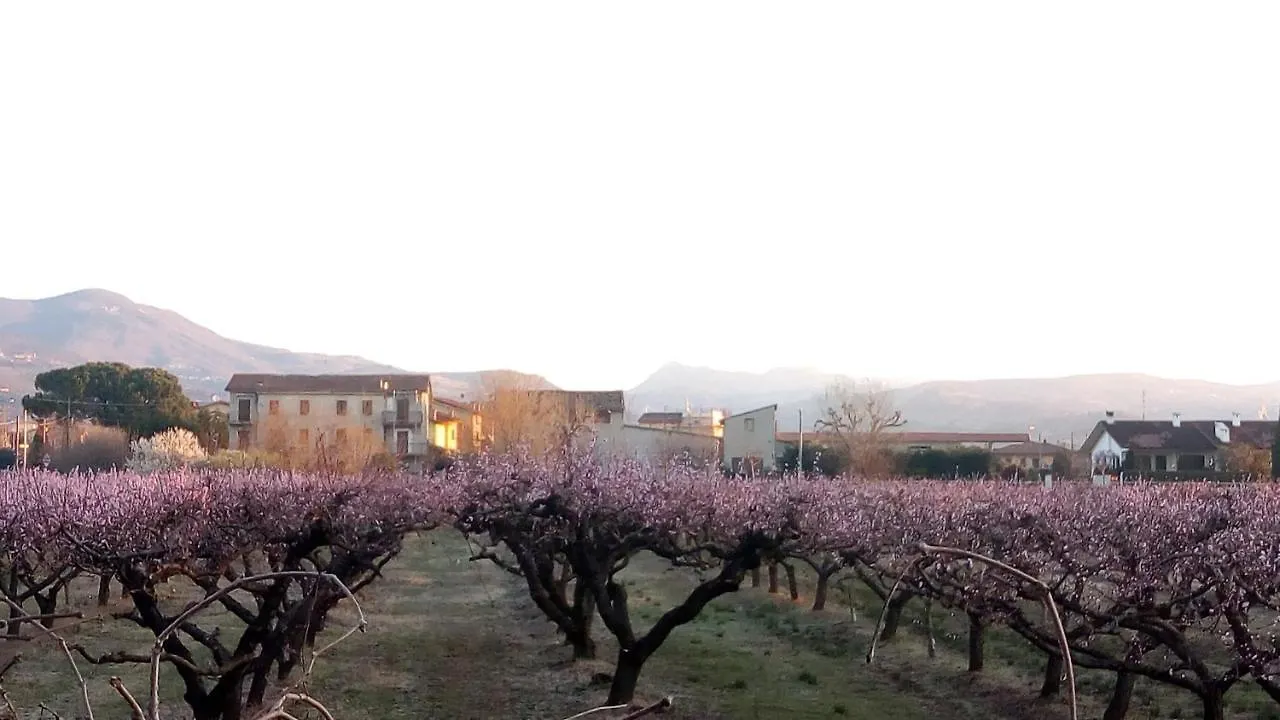 Casa Vacanze Principesca Pescantina
